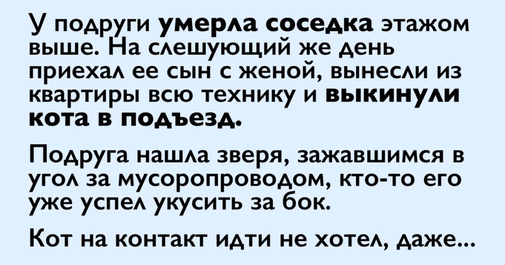 Раздался звонок в дверь и в коридор к нам зашел дядя миша основная мысль текста