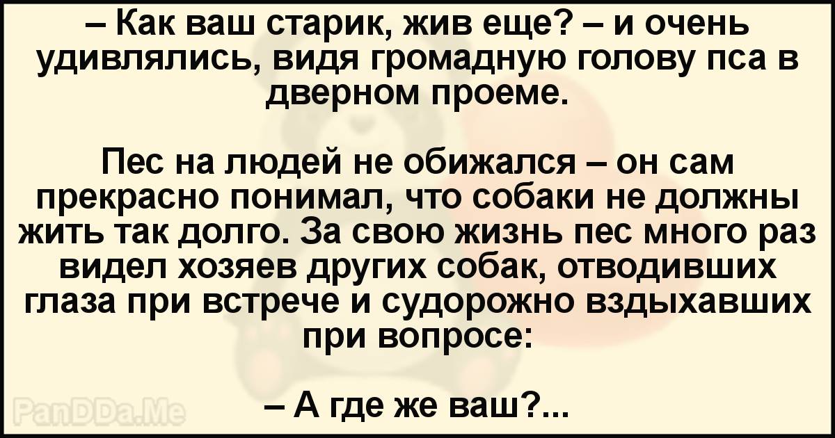 Как хочешь это называй ты с каждым днем мне все дороже стих