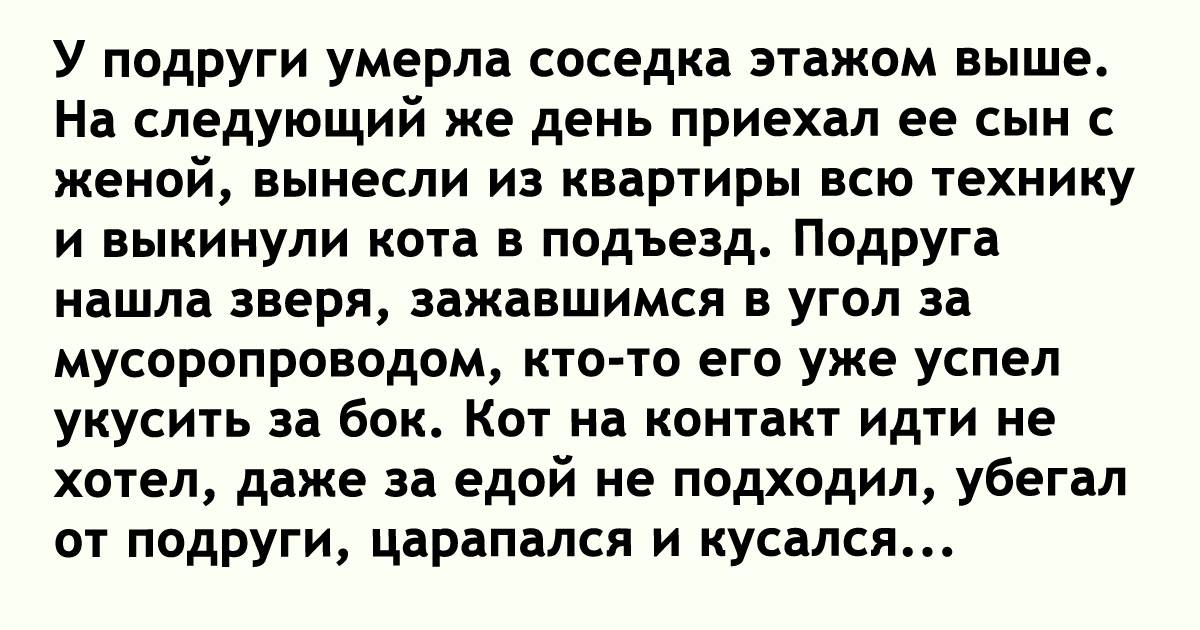 Сын приехал. Смерть лучшей подруги. После смерти подруги. Лучшие подруги смерть.