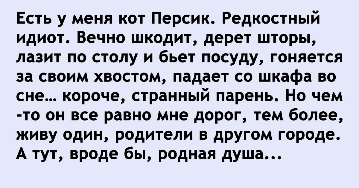 А он оказался
