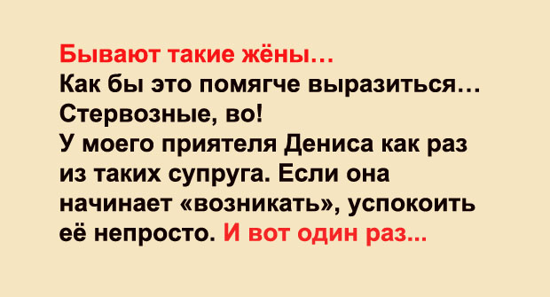 Что такое супруга. Кто такая супруга. Кто такая жена. Как бы помягче. Кто такая жена жена это.