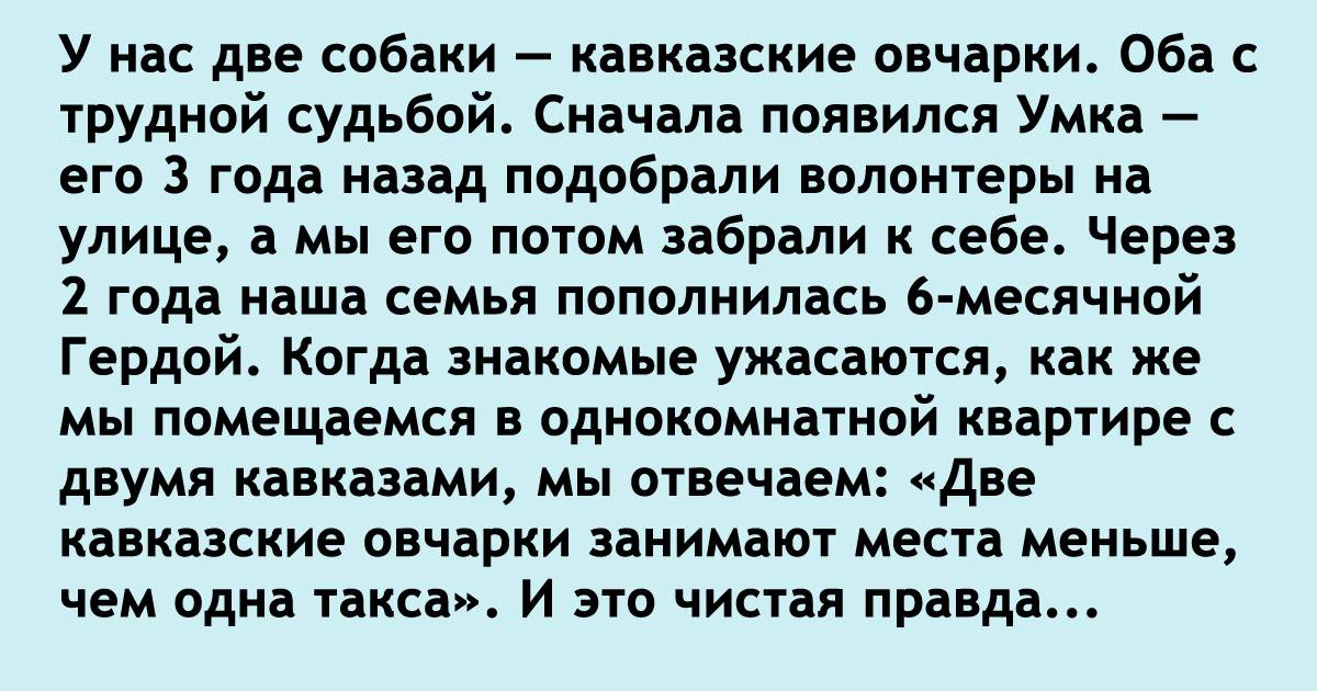 Смешные истории про шкаф