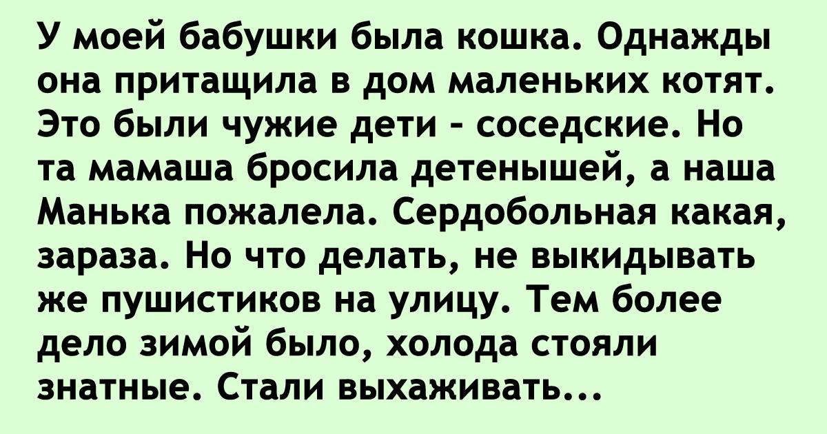 А У нашей кошки есть бабушка?.