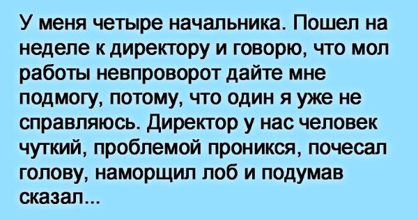 Директор сказал. Когда начальник сказал. Пошли к начальнику. Потому что директор самодур. Когда начальник долбоеб.