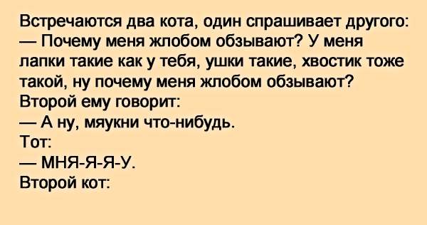 Встретились два. Два кота встретились. Жлоб словарь Даля. Значение слова жлоб словарь Даля. Один спрашивает другого.