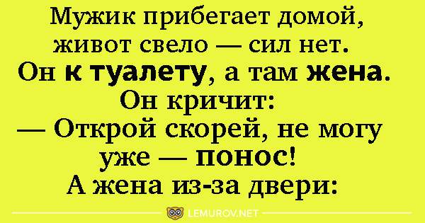 Картинки анекдоты для поднятия настроения