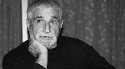 «Двадцать процентов из них — идиотки, тридцать процентов