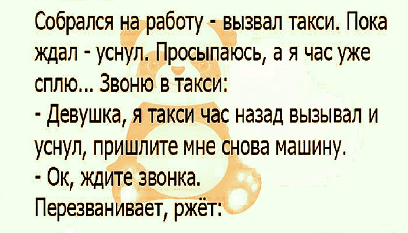 Пся крев перевод с польского. Собрался на работу вызвал такси пока ждал уснул. Пся крёв. Пся. Пся Крев картинки.