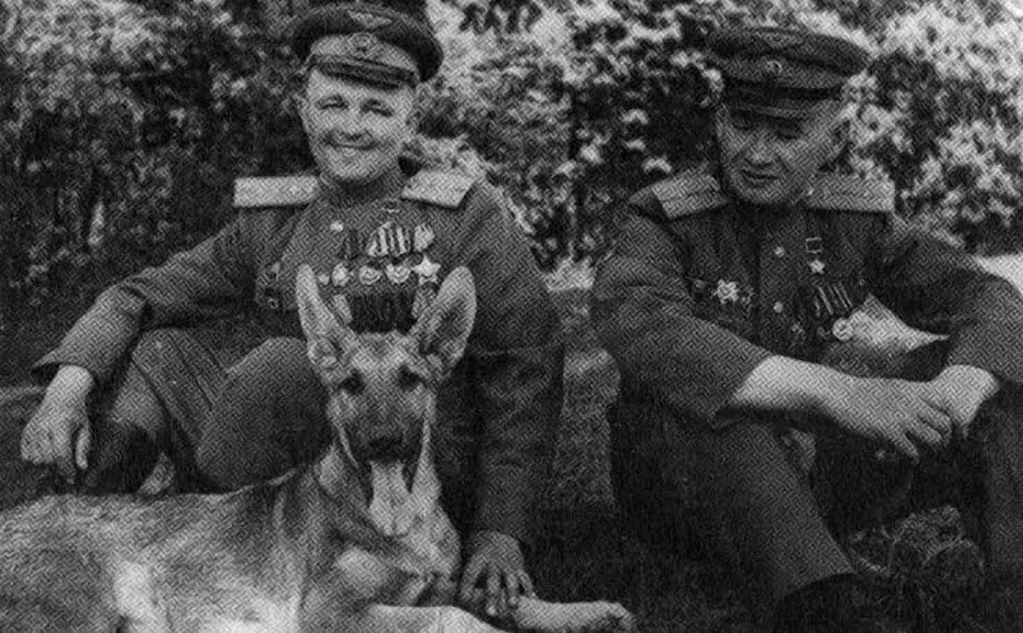 Собаки на параде победы 1945 фото