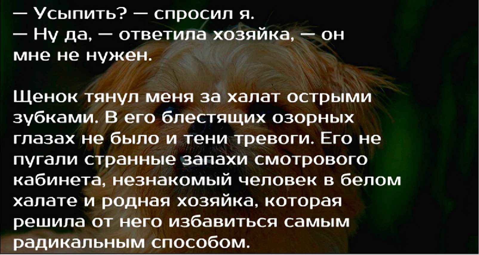 А чудеса случаются их только нужно пригласить к себе картинки