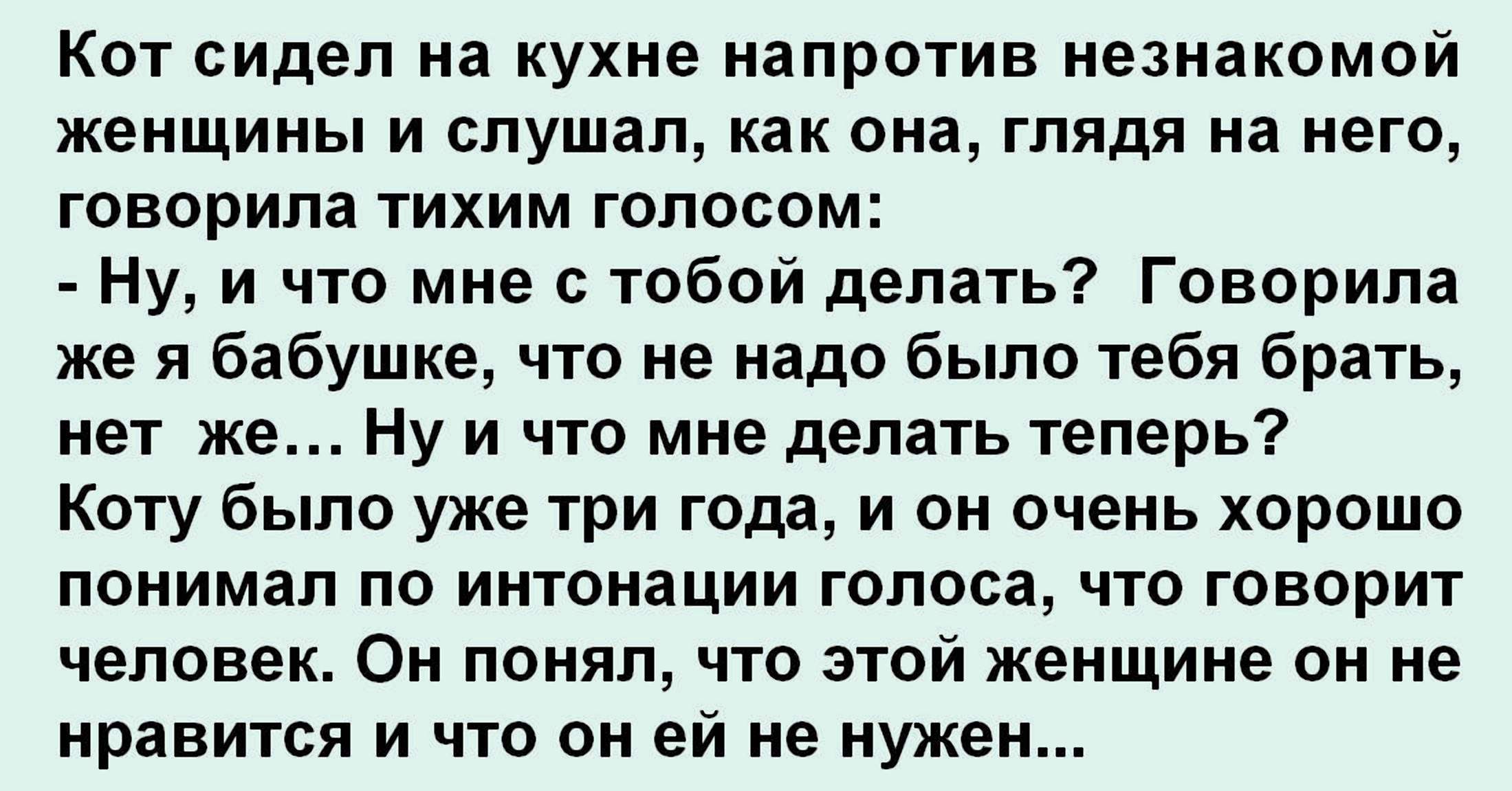 Бабушка сказала сидеть тихо сюжет